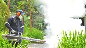 Best Mosquito Control  in Eastpointe, MI